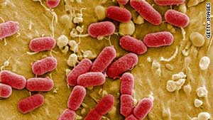 E coli bacteria Germany 2011