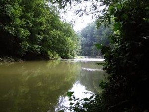 River Lapus Maramures