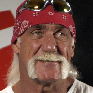 Hulk Hogan (public domain)