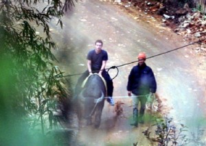 Zuckerberg riding a buffalo during visit to Vietnamese town of Sapa. (Pursuitist.com)