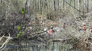 Authorities search a lake area near Saskatchewan where 2 planes crashed (Capture video/CBC)