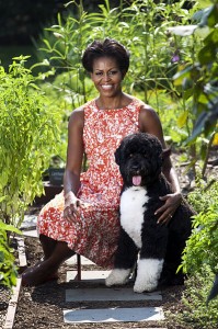 Michelle Obama First Dog Bo