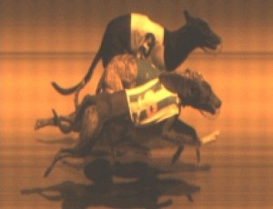 dog racing wimbledon