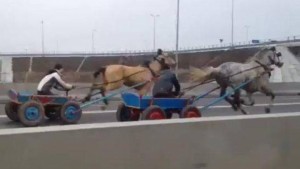 harness racing motorway