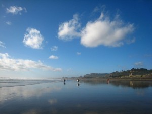 Muriwai Beach, near Auckland (By Avenue via Wikimedia)