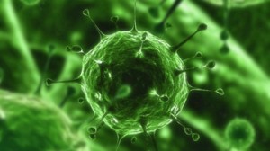 Pexa-Vec Virus JX-595 