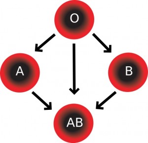 Blood types