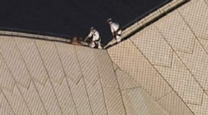Police trying to save a man who climbed Sydney Opera House (Photo: romaniatv.net)