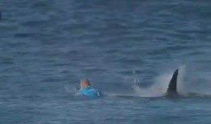 Mick Fanning shark