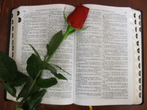 People have particular liking for bibles (public domain)