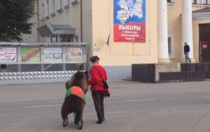 In Russia bears go to vote (pic: youtube/V Sm)
