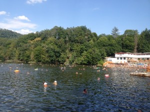 lake bear sovata