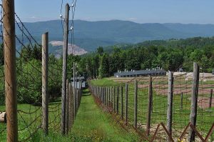 Latvia fence