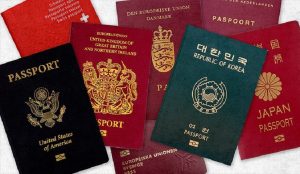 passport colours world