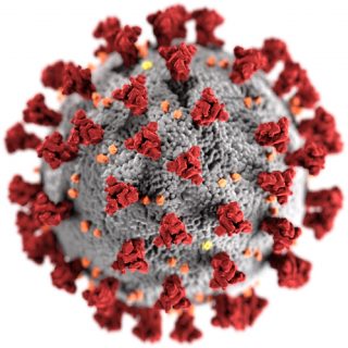 SARS-CoV-2 virus strain